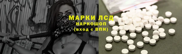 индика Армянск