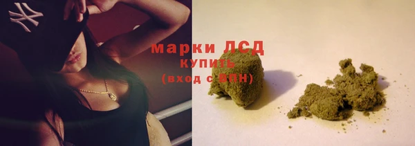 гидра Аркадак