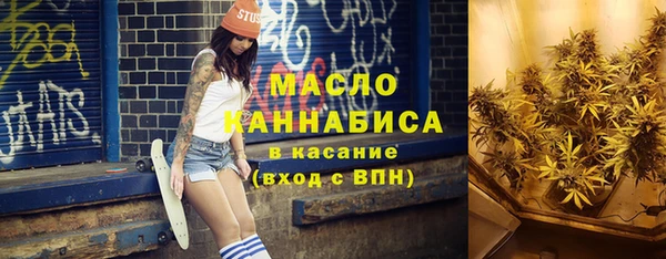 индика Армянск