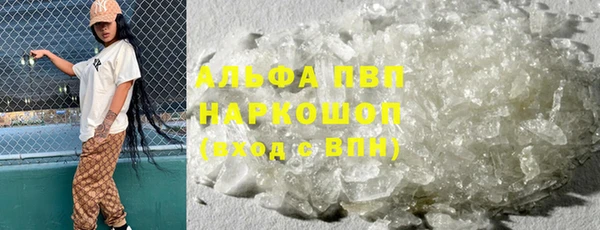 индика Армянск