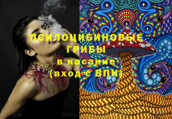 гидра Аркадак