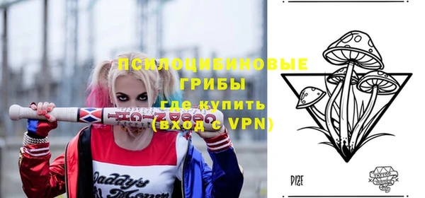 индика Армянск