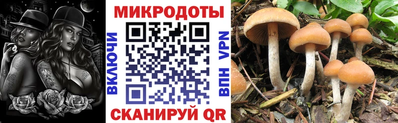 где купить наркоту  Суровикино  Псилоцибиновые грибы мухоморы 